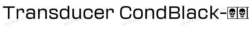 Transducer CondBlack字体转换